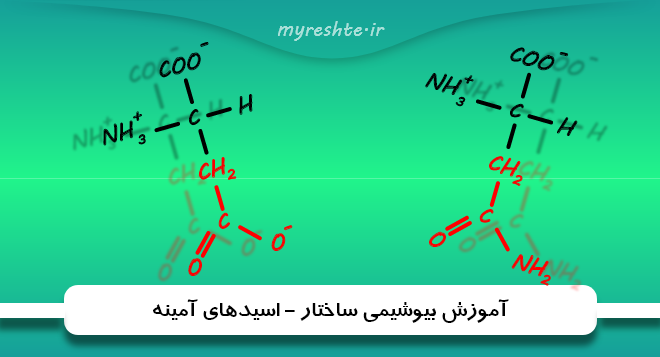 آموزش بیوشیمی ساختار- اسیدهای آمینه