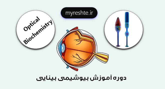 آموزش بیوشیمی بینایی