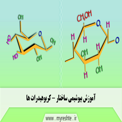 آموزش بیوشیمی ساختار- کربوهیدرات ها