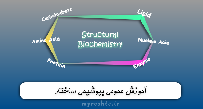 آموزش عمومی بیوشیمی ساختار