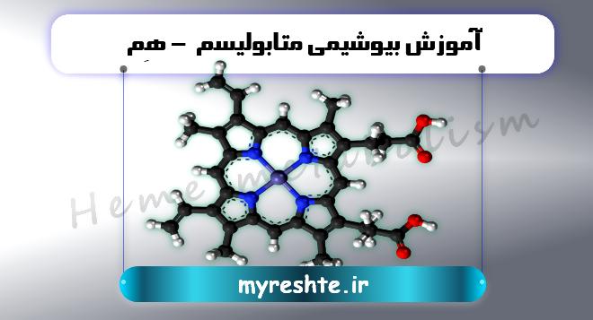 آموزش بیوشیمی متابولیسم - هِم