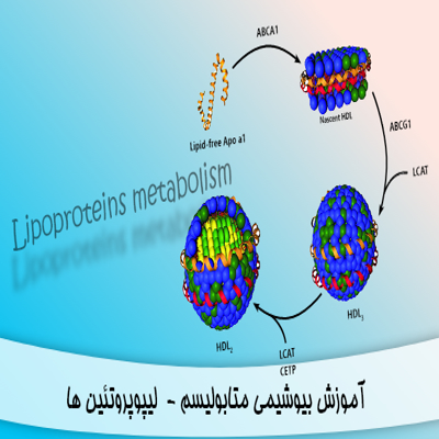 آموزش بیوشیمی متابولیسم لیپوپروتئین ها