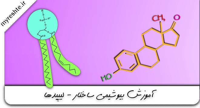 آموزش بیوشیمی ساختار- لیپید ها