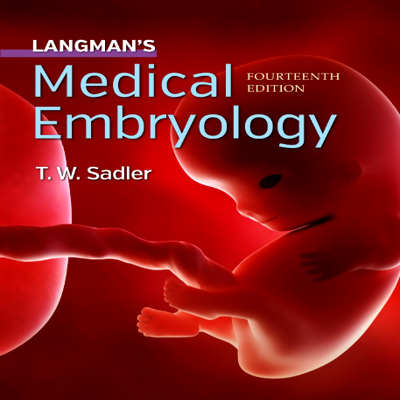 کتاب جنین شناسی لانگمن ویرایش 14