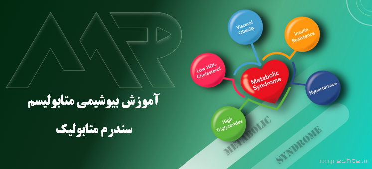 آموزش بیوشیمی متابولیسم - سندرم متابولیک