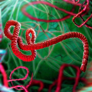 10 مورد از خطرناکترین ویروس هایی که جهان به خود دیده است