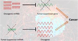 اهمیت ریز RNA ها در تشخیص و درمان سرطان