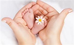 نقش رژیم غذایی در سلامت بارورى